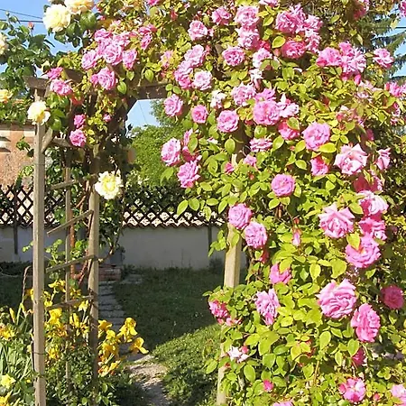 Bed & Breakfast D'hotes Les Denias Saint-Paul (Gironde)